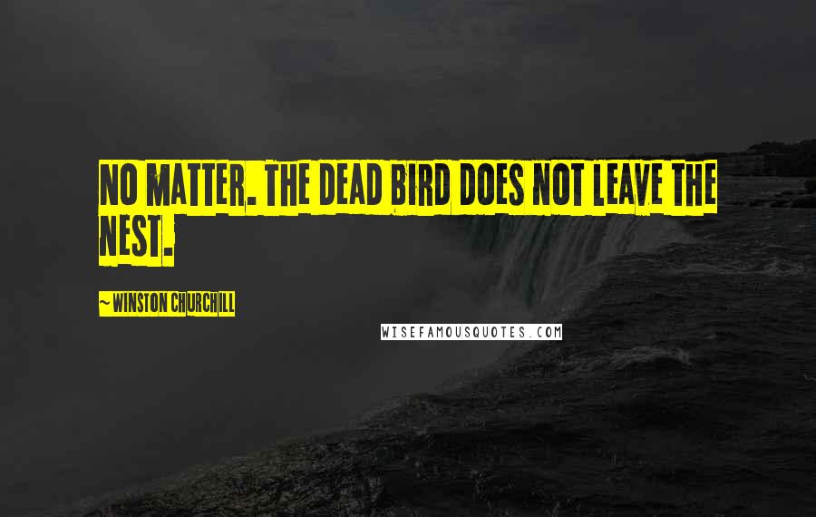 Winston Churchill Quotes: No matter. The dead bird does not leave the nest.