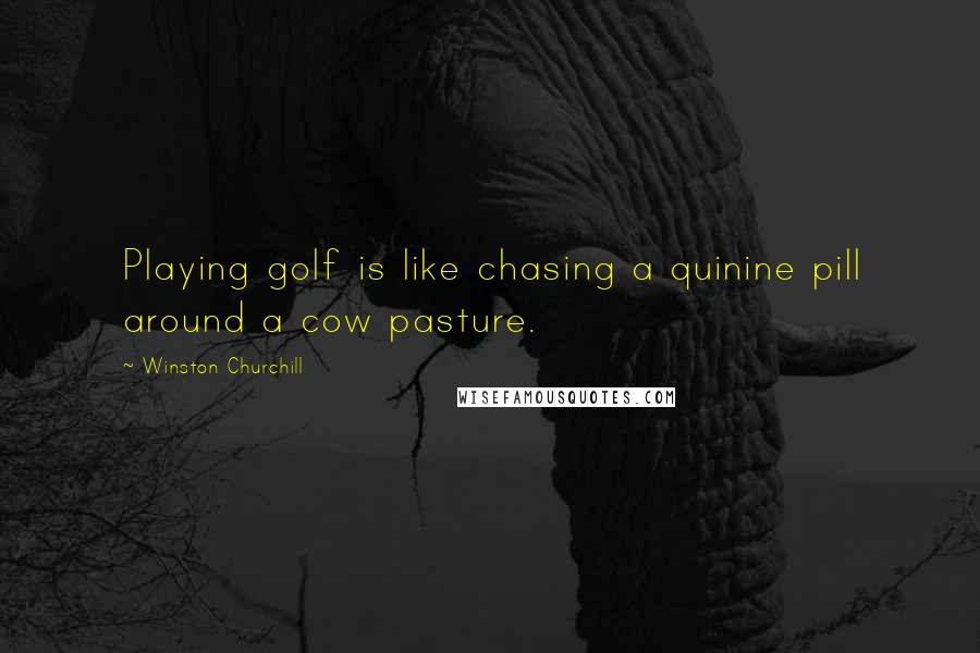 Winston Churchill Quotes: Playing golf is like chasing a quinine pill around a cow pasture.