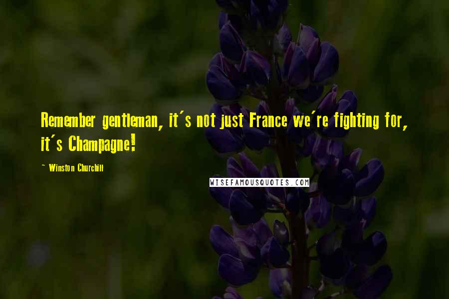 Winston Churchill Quotes: Remember gentleman, it's not just France we're fighting for, it's Champagne!