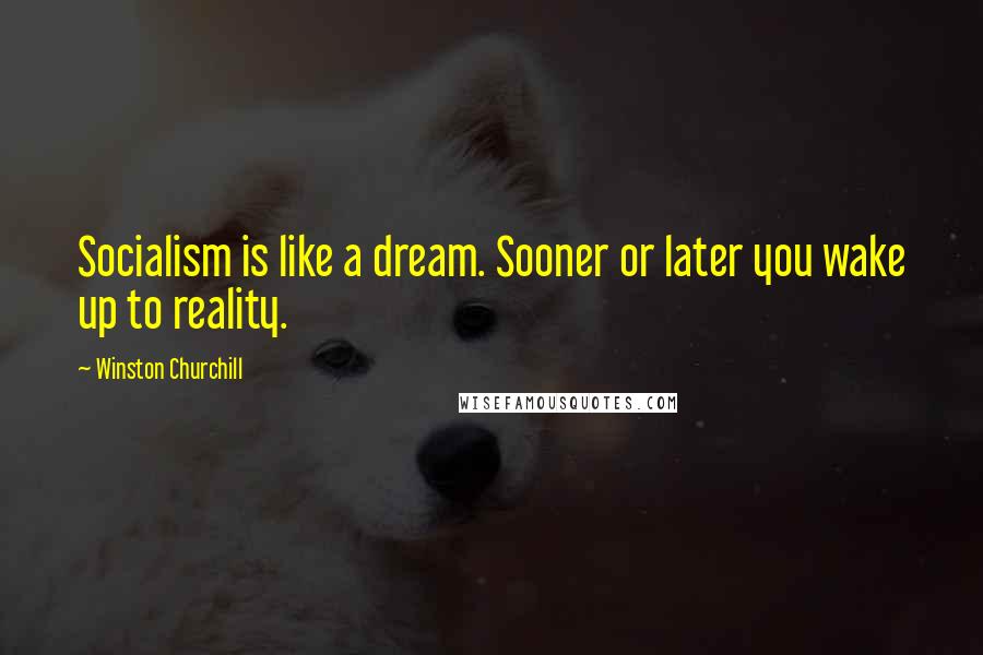 Winston Churchill Quotes: Socialism is like a dream. Sooner or later you wake up to reality.