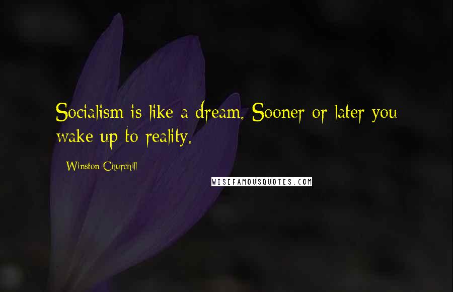 Winston Churchill Quotes: Socialism is like a dream. Sooner or later you wake up to reality.