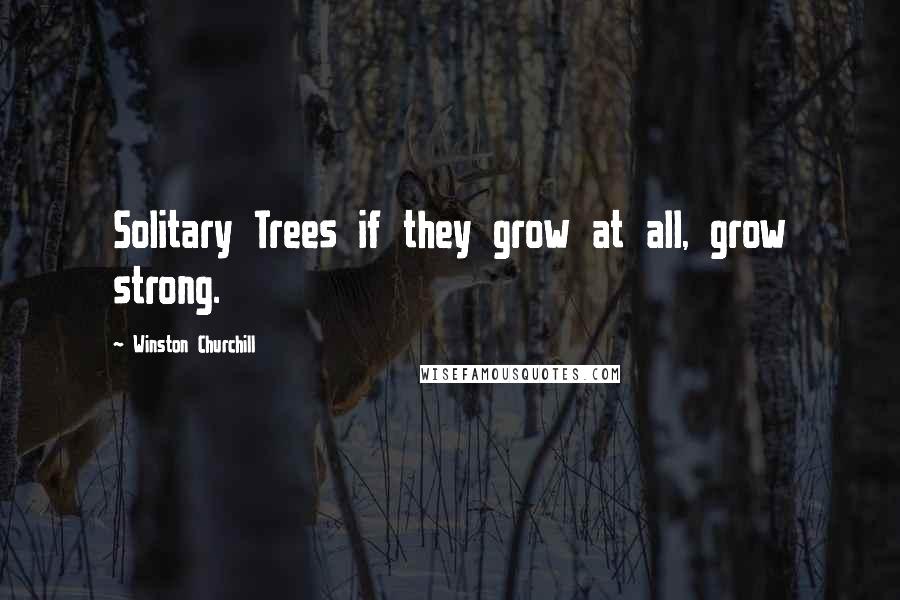 Winston Churchill Quotes: Solitary Trees if they grow at all, grow strong.