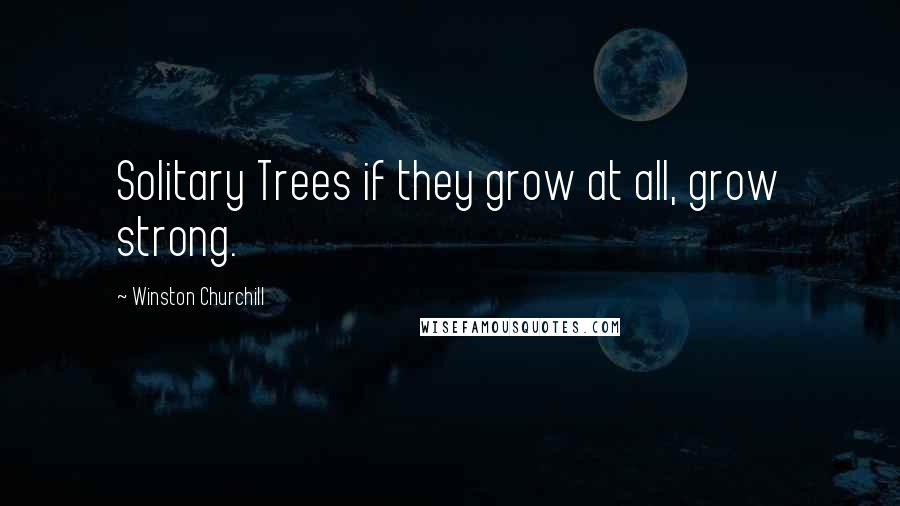 Winston Churchill Quotes: Solitary Trees if they grow at all, grow strong.