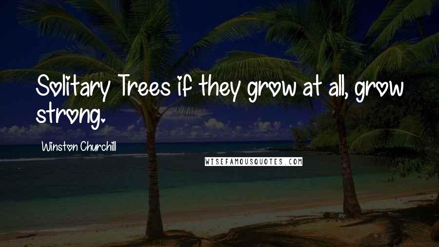 Winston Churchill Quotes: Solitary Trees if they grow at all, grow strong.