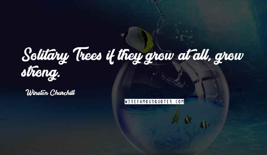 Winston Churchill Quotes: Solitary Trees if they grow at all, grow strong.