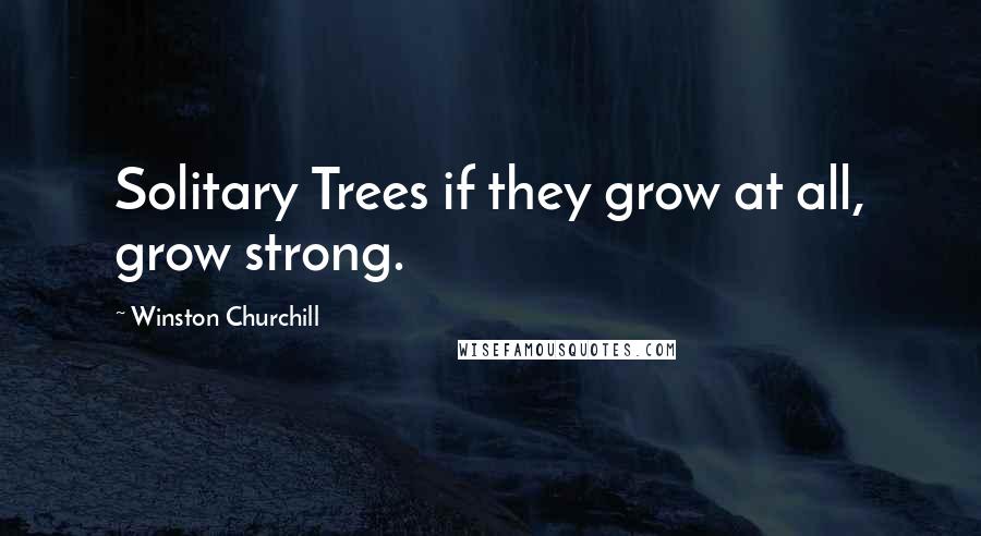 Winston Churchill Quotes: Solitary Trees if they grow at all, grow strong.