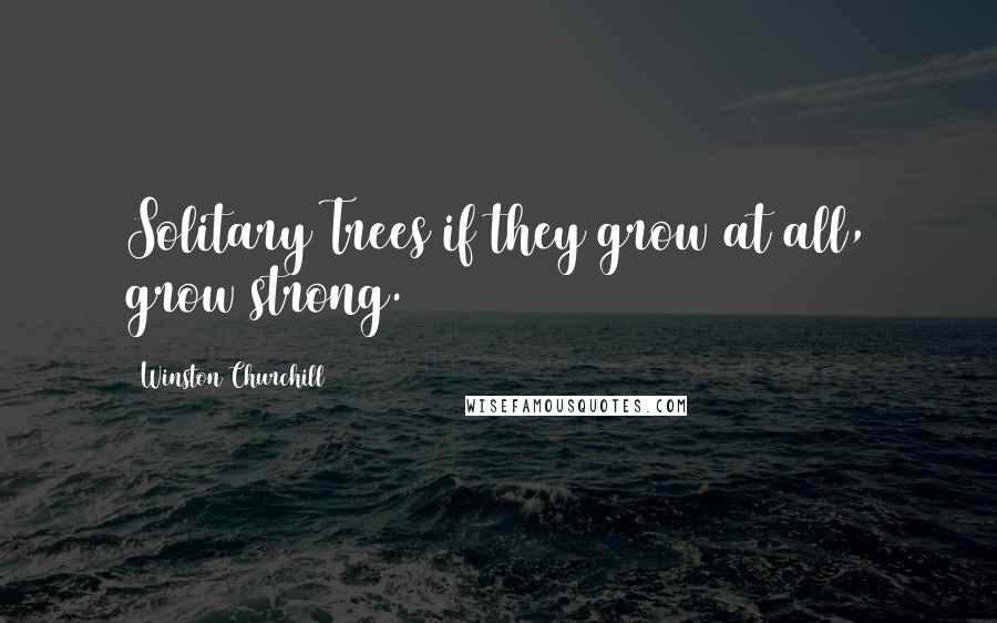 Winston Churchill Quotes: Solitary Trees if they grow at all, grow strong.