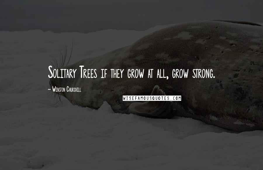 Winston Churchill Quotes: Solitary Trees if they grow at all, grow strong.