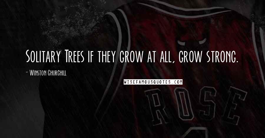 Winston Churchill Quotes: Solitary Trees if they grow at all, grow strong.