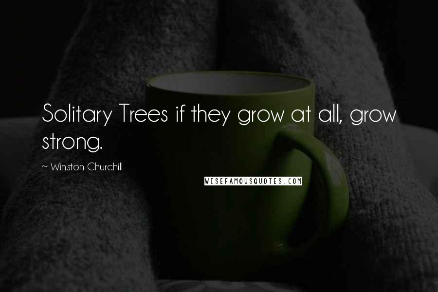 Winston Churchill Quotes: Solitary Trees if they grow at all, grow strong.