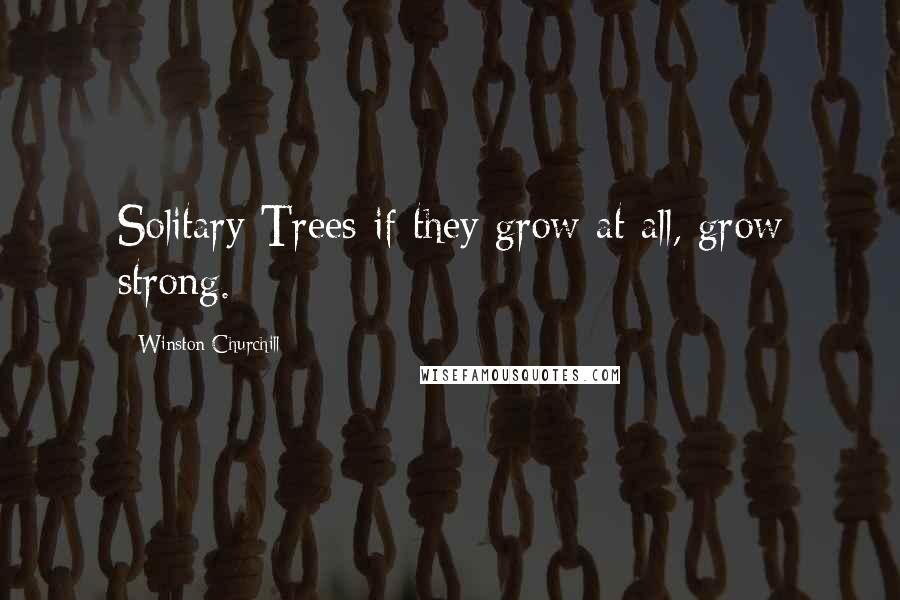 Winston Churchill Quotes: Solitary Trees if they grow at all, grow strong.