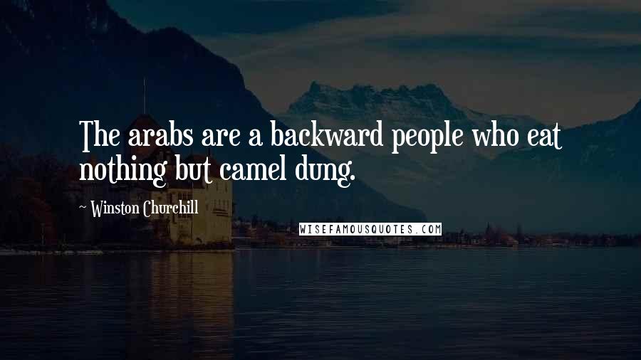 Winston Churchill Quotes: The arabs are a backward people who eat nothing but camel dung.