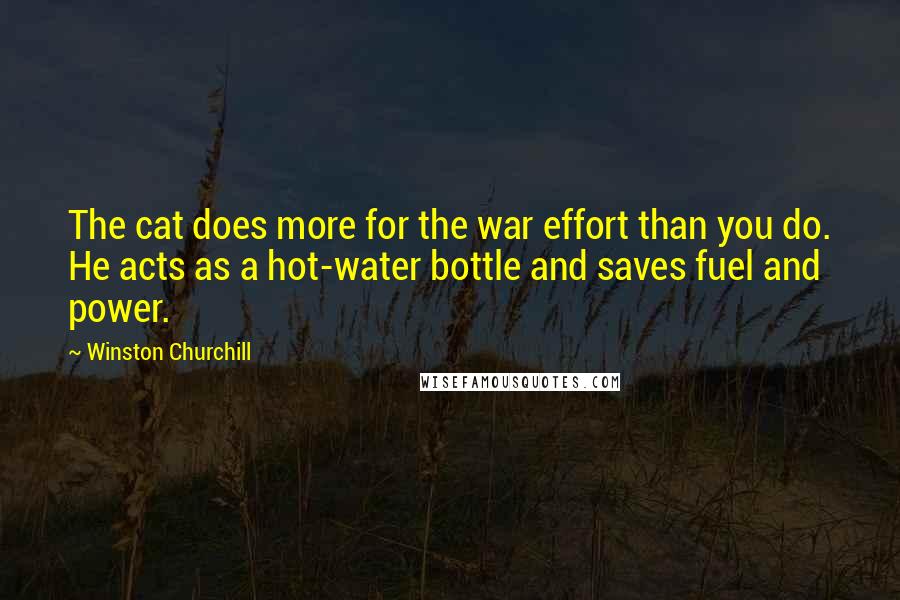 Winston Churchill Quotes: The cat does more for the war effort than you do. He acts as a hot-water bottle and saves fuel and power.