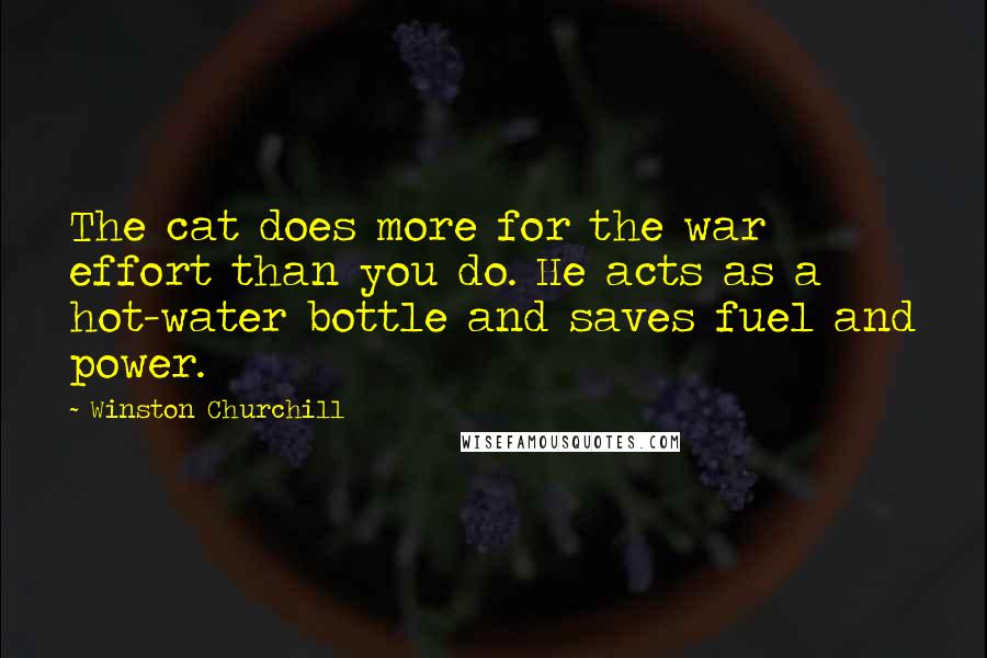 Winston Churchill Quotes: The cat does more for the war effort than you do. He acts as a hot-water bottle and saves fuel and power.