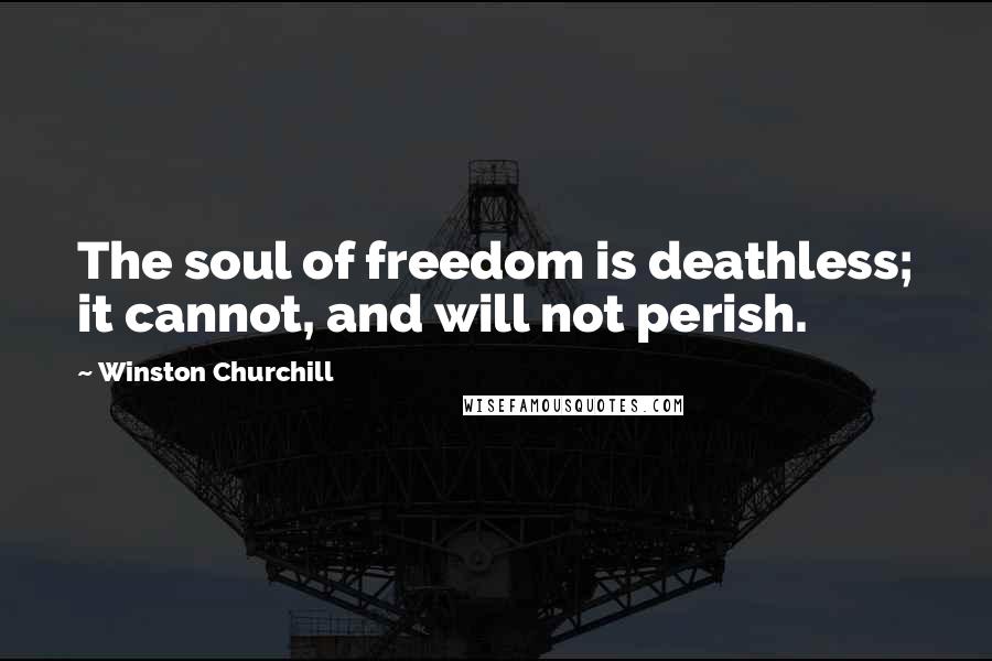 Winston Churchill Quotes: The soul of freedom is deathless; it cannot, and will not perish.