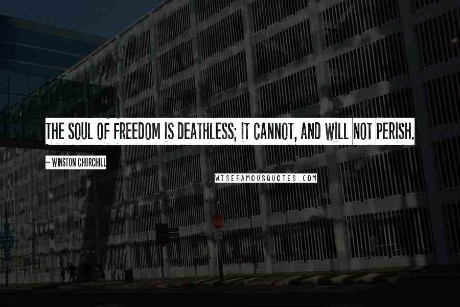 Winston Churchill Quotes: The soul of freedom is deathless; it cannot, and will not perish.