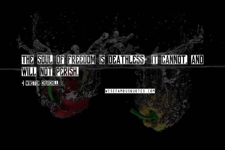 Winston Churchill Quotes: The soul of freedom is deathless; it cannot, and will not perish.