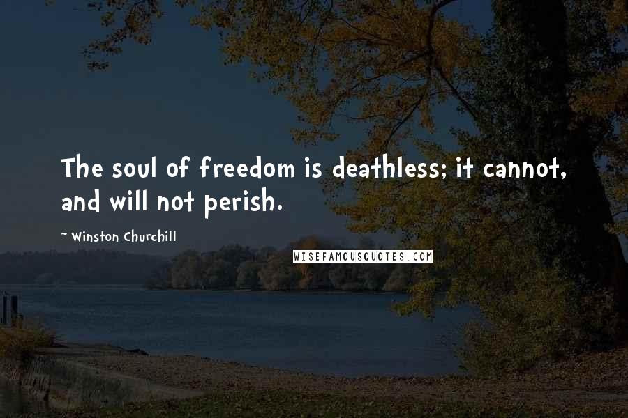 Winston Churchill Quotes: The soul of freedom is deathless; it cannot, and will not perish.