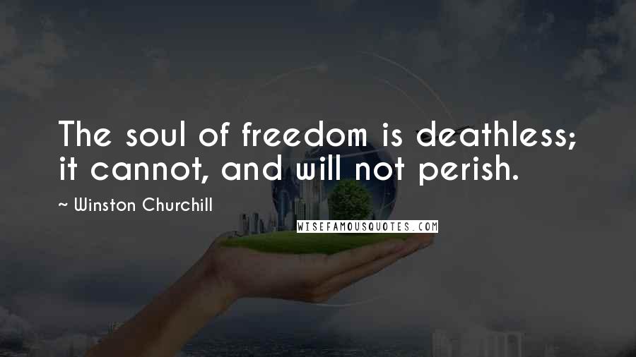 Winston Churchill Quotes: The soul of freedom is deathless; it cannot, and will not perish.