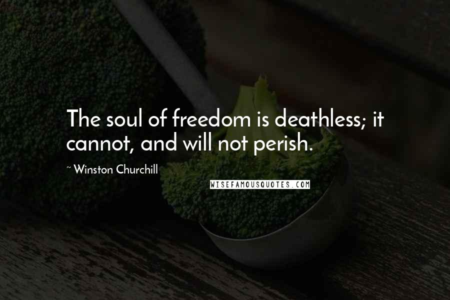 Winston Churchill Quotes: The soul of freedom is deathless; it cannot, and will not perish.