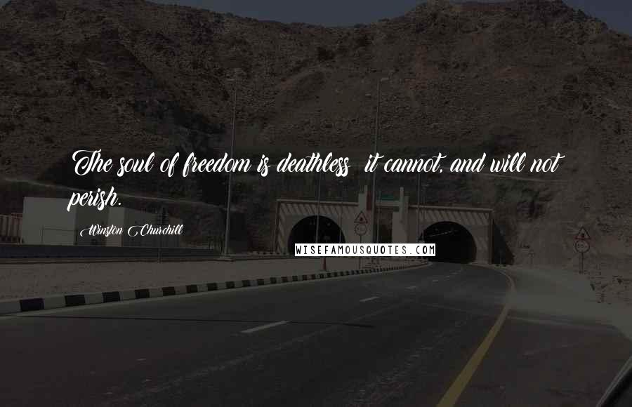 Winston Churchill Quotes: The soul of freedom is deathless; it cannot, and will not perish.