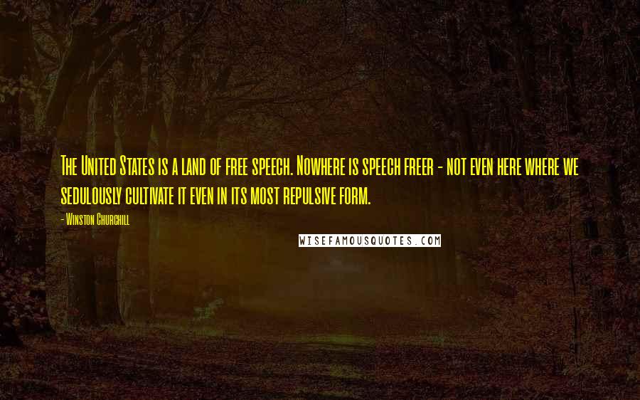 Winston Churchill Quotes: The United States is a land of free speech. Nowhere is speech freer - not even here where we sedulously cultivate it even in its most repulsive form.