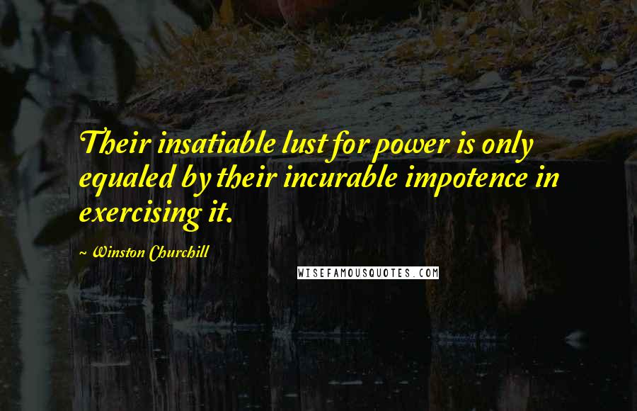 Winston Churchill Quotes: Their insatiable lust for power is only equaled by their incurable impotence in exercising it.