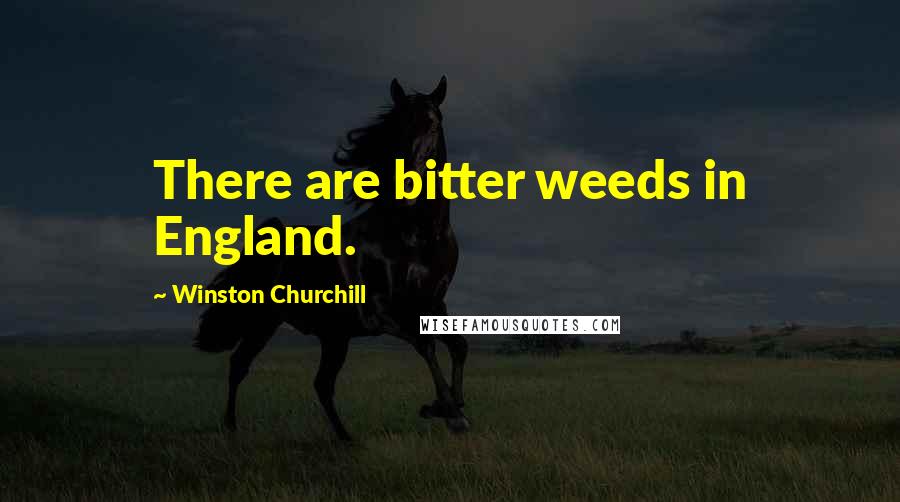 Winston Churchill Quotes: There are bitter weeds in England.