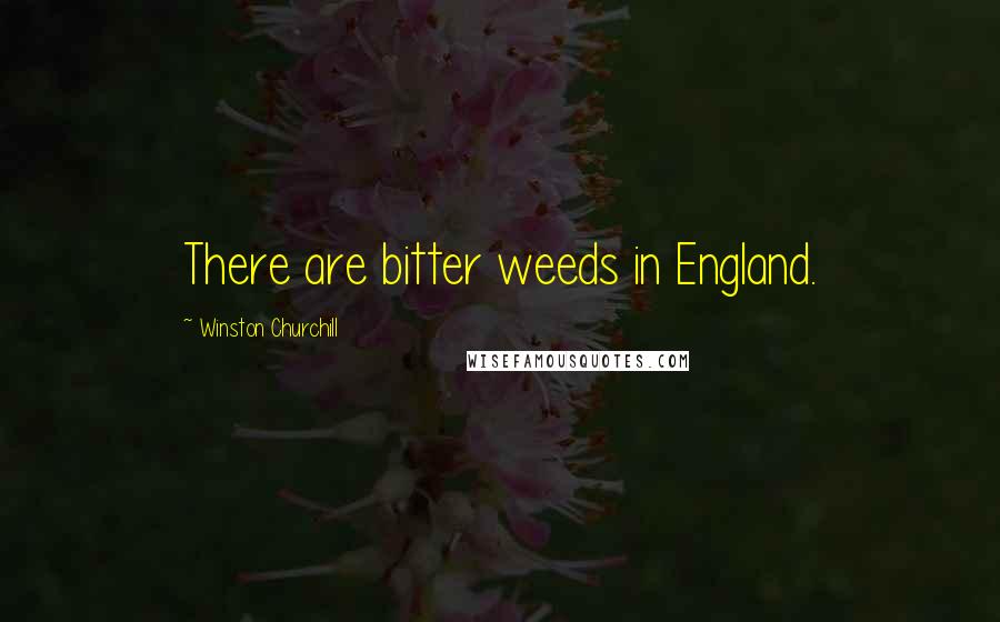 Winston Churchill Quotes: There are bitter weeds in England.