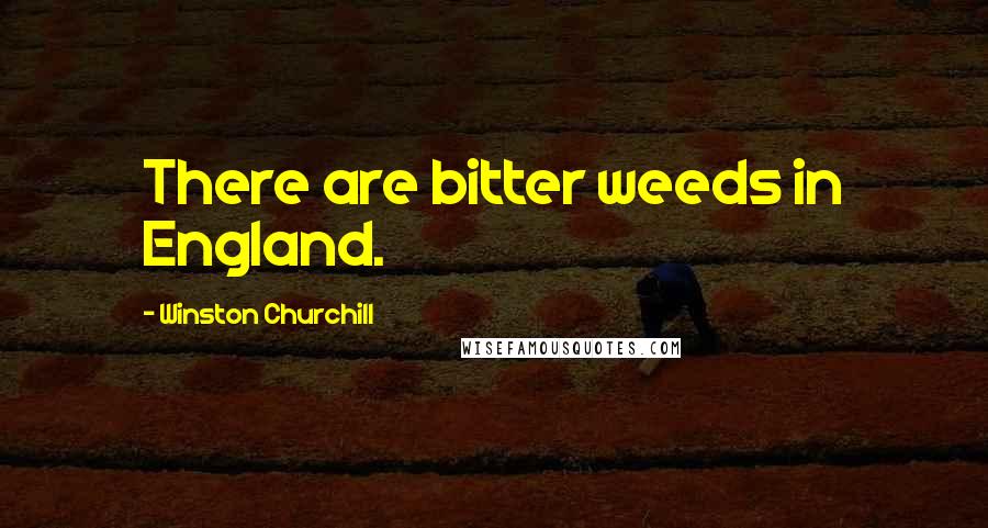 Winston Churchill Quotes: There are bitter weeds in England.