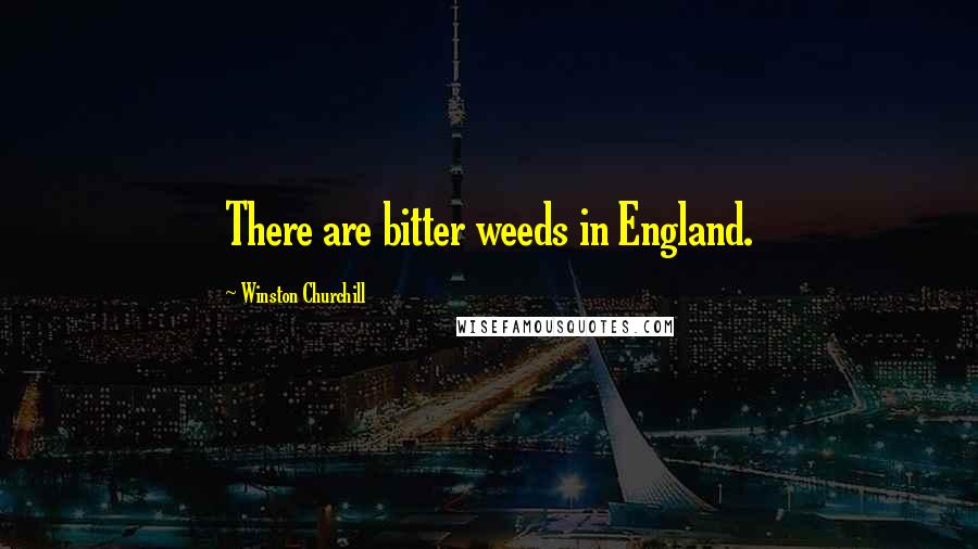 Winston Churchill Quotes: There are bitter weeds in England.