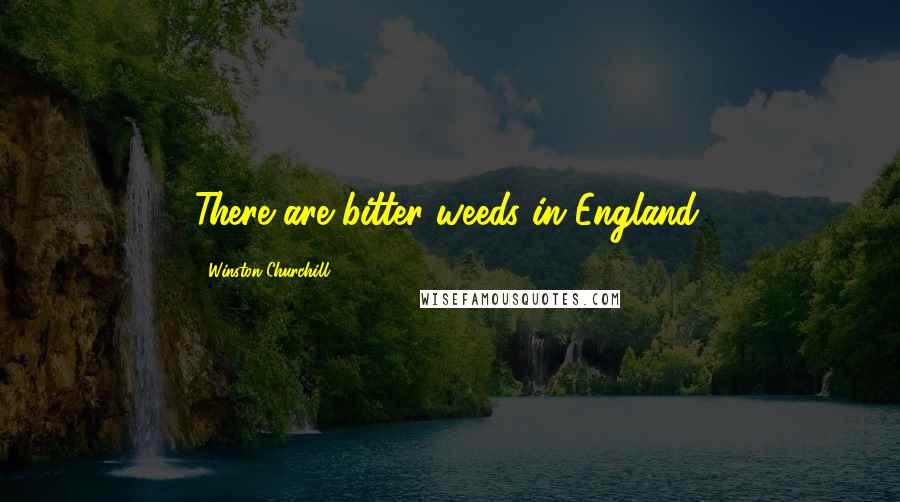 Winston Churchill Quotes: There are bitter weeds in England.