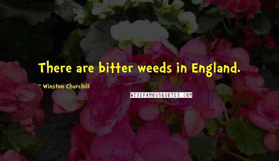 Winston Churchill Quotes: There are bitter weeds in England.