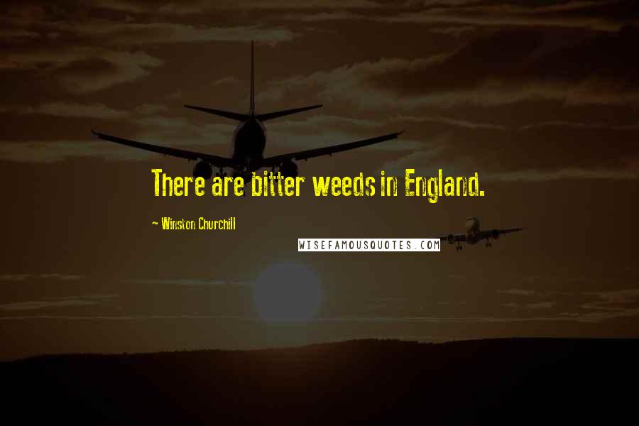 Winston Churchill Quotes: There are bitter weeds in England.