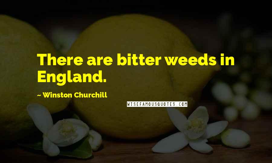 Winston Churchill Quotes: There are bitter weeds in England.