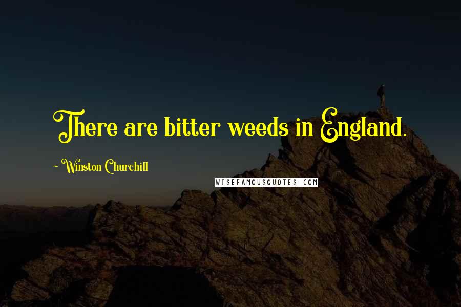 Winston Churchill Quotes: There are bitter weeds in England.