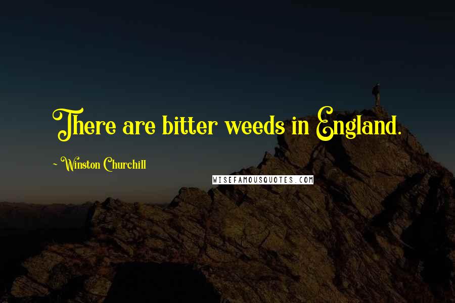 Winston Churchill Quotes: There are bitter weeds in England.