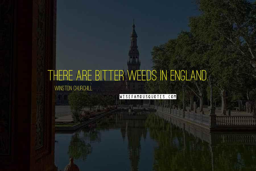 Winston Churchill Quotes: There are bitter weeds in England.