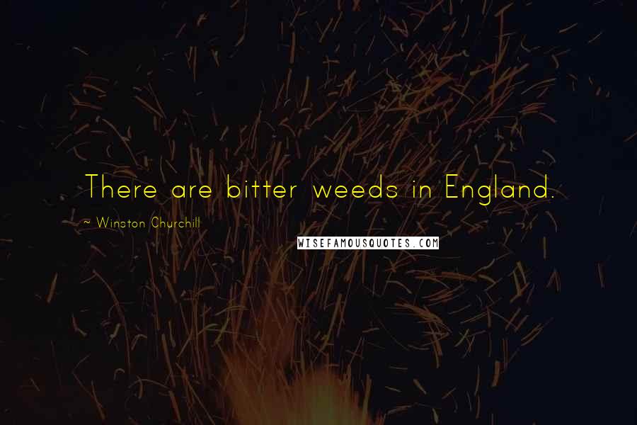 Winston Churchill Quotes: There are bitter weeds in England.