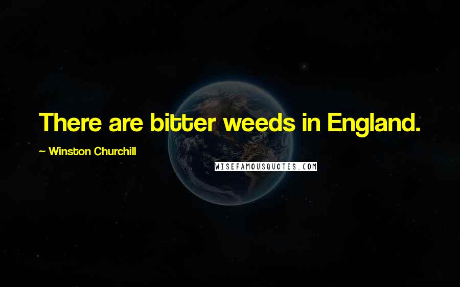 Winston Churchill Quotes: There are bitter weeds in England.