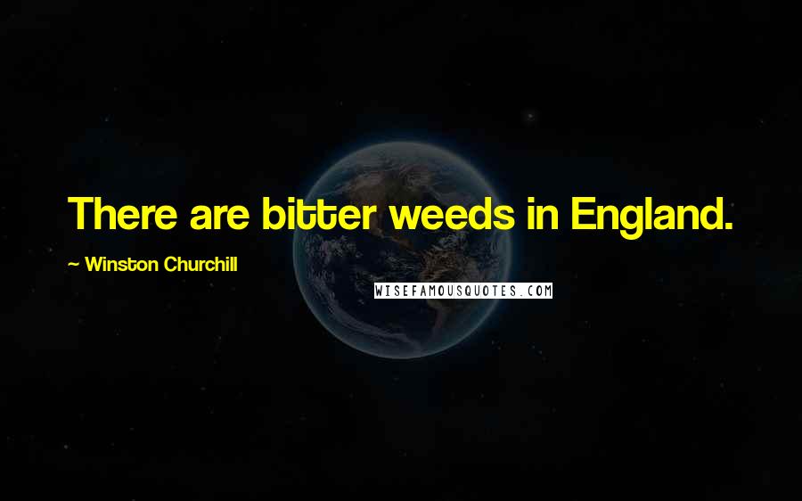 Winston Churchill Quotes: There are bitter weeds in England.