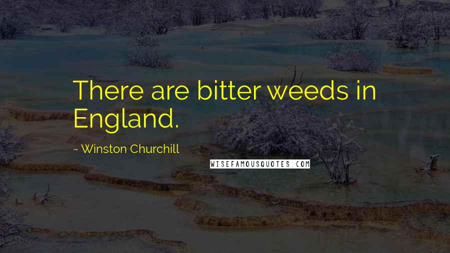 Winston Churchill Quotes: There are bitter weeds in England.