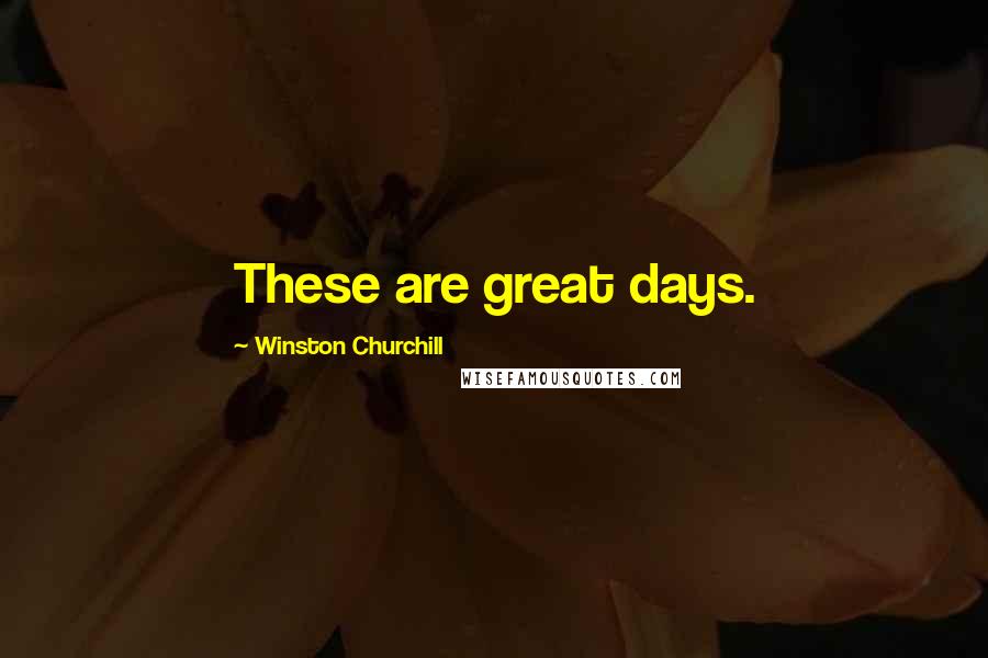 Winston Churchill Quotes: These are great days.