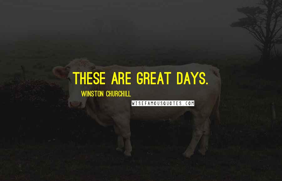 Winston Churchill Quotes: These are great days.