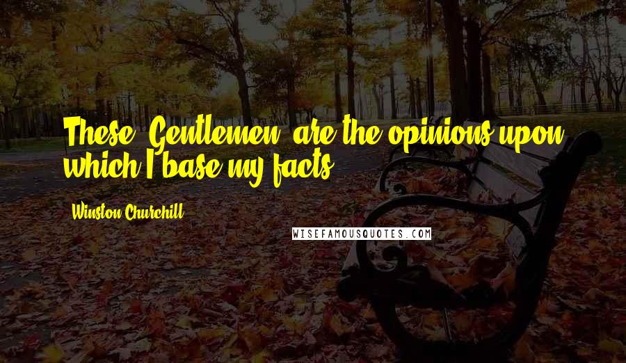 Winston Churchill Quotes: These, Gentlemen, are the opinions upon which I base my facts.