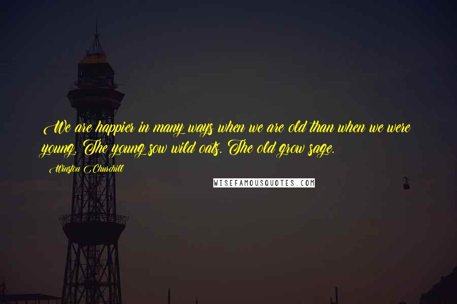 Winston Churchill Quotes: We are happier in many ways when we are old than when we were young. The young sow wild oats. The old grow sage.