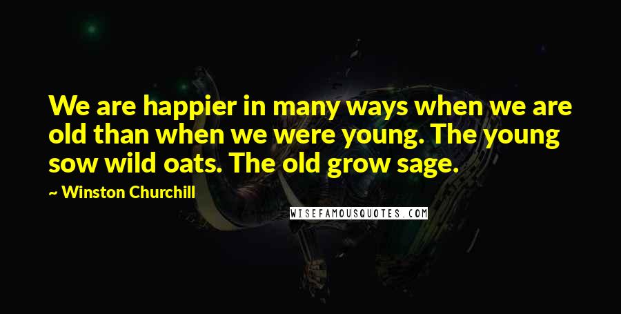 Winston Churchill Quotes: We are happier in many ways when we are old than when we were young. The young sow wild oats. The old grow sage.