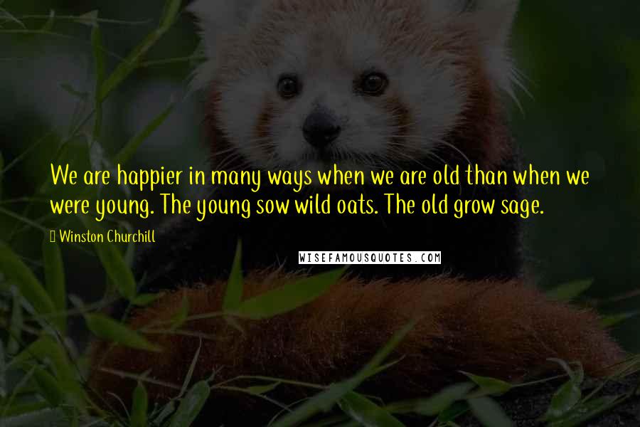 Winston Churchill Quotes: We are happier in many ways when we are old than when we were young. The young sow wild oats. The old grow sage.