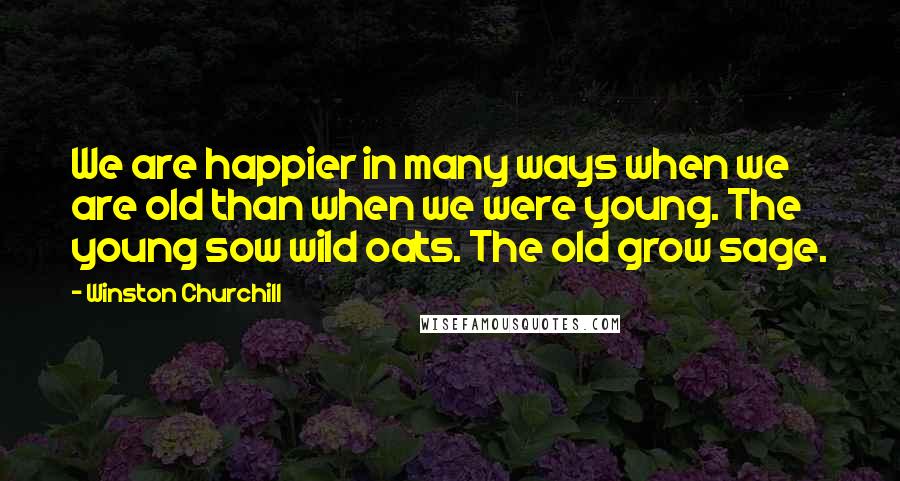 Winston Churchill Quotes: We are happier in many ways when we are old than when we were young. The young sow wild oats. The old grow sage.