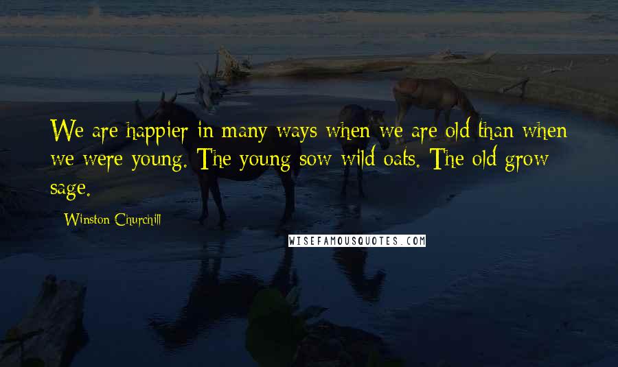 Winston Churchill Quotes: We are happier in many ways when we are old than when we were young. The young sow wild oats. The old grow sage.